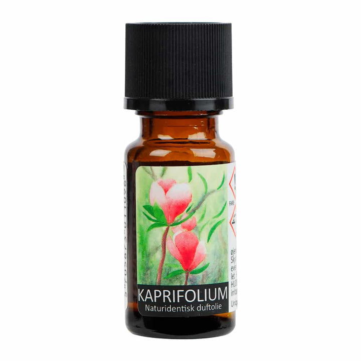 KAPRIFOLIUM